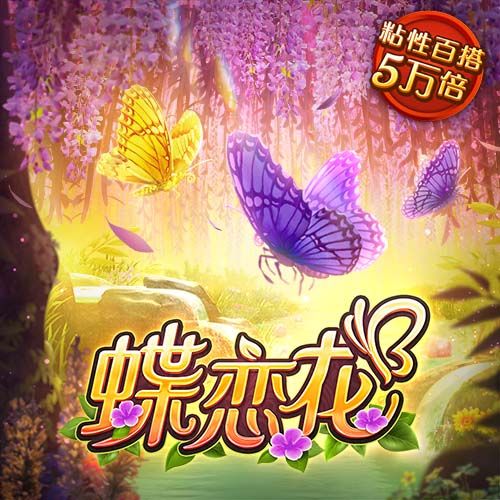 中欧体育kok下载